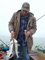 Balaton